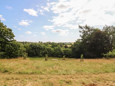 A landscape with grass, trees, and a blue sky at Bryn Y Garreg Cottage - The Wireless Free Farm in Llangadfan near Llanwddyn