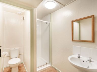 A bathroom with a toilet in a separate cubicle a shower area a sink with two taps and a mirror at The Log Cabin in Sheldon Blackdown Hills