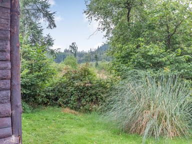 An outdoor scene with green bushes trees and grass next to a wooden structure at The Log Cabin in Sheldon Blackdown Hills