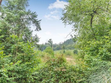 A view of dense green shrubs and trees with hills in the background at The Log Cabin in Sheldon Blackdown Hills