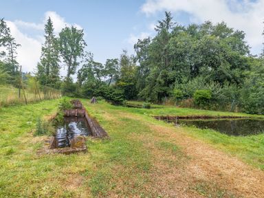 A grassy outdoor area with small water channels and trees in the background at The Log Cabin in Sheldon Blackdown Hills
