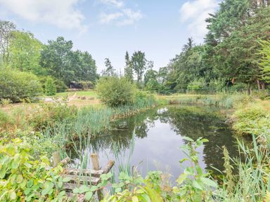 An outdoor scene with a small pond surrounded by plants and trees at The Log Cabin in Sheldon Blackdown Hills
