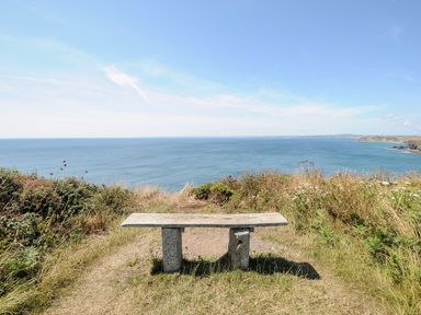 A bench overlooking the sea with cliffs and wild grass at Savoy View in Mullion