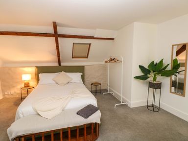 A bedroom with a bed a lamp a plant a mirror and a clothes rack at Norchard Farm House Redberth near St Florence
