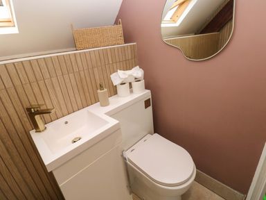 A small bathroom with a white toilet and sink with a gold faucet and a mirror on a pink wall at Norchard Farm House in Redberth near St Florence