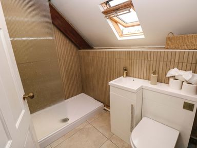 A bathroom with a walk-in shower sink toilet and skylight at Norchard Farm House in Redberth near St Florence