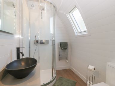 A bathroom with a black sink basin a glass shower enclosure and a toilet at Leadon View Willow in Upleadon near Newent