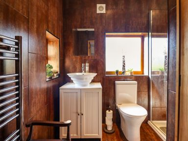 A bathroom with a white sink on a cabinet a toilet a window with plants and a glass shower at Hendre in Blaenau Ffestiniog