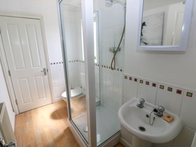 A bathroom with a glass shower enclosure a white sink with taps a wall mirror a toilet and wooden flooring at Alban Road in Llanelli