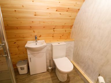 A bathroom with a toilet sink cabinet trash bin and a mounted toilet paper holder at Holbein in Matlock