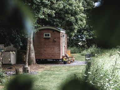 A wooden shepherd's hut surrounded by trees and greenery with a chair and small fire pit outside at Little Otchan Shepherd's Hut Halsham near Roos