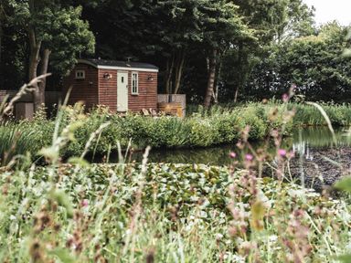 A pond with water lilies and plants in front of a small wooden hut near trees at Little Otchan Shepherd's Hut in Halsham near Roos