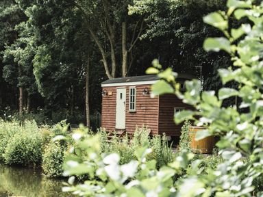 A wooden hut near a pond surrounded by trees and greenery at Little Otchan Shepherd's Hut Halsham near Roos