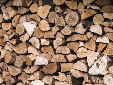 A pile of cut logs stacked together at Little Otchan Shepherd's Hut in Halsham near Roos