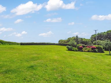 A large grassy field with bushes and flowering plants under a blue sky at The Stables in St Neot
