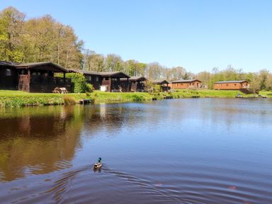 A lake with cabins and a duck at Lakeside Lodge near Bowland Lakes Leisure Village