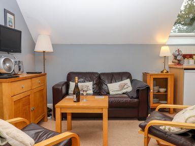 A seating area with a brown leather sofa and chairs a wooden table with a bottle and glasses and wooden cabinets with lamps at 5 Lakeview Rise Highampton near Hatherleigh