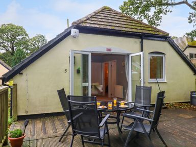 A patio with a round table and chairs with glasses of orange juice and plates of food outside a house with open double doors at 5 Lakeview Rise in Highampton near Hatherleigh