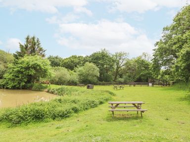 A grassy area with picnic tables near a pond surrounded by trees and a wooden fence at 5 Lakeview Rise Highampton near Hatherleigh