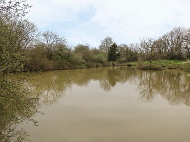 A pond surrounded by trees and bushes with a grassy area and a wooden fence in the background at 5 Lakeview Rise Highampton near Hatherleigh