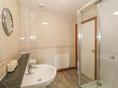 A bathroom with a sink a shower a toilet and a radiator at Bwthyn Clyd in Llanddaniel Fab