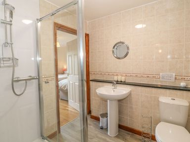 A bathroom with a shower, sink, and toilet at Bwthyn Clyd in Llanddaniel Fab