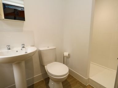 A bathroom with a white sink a toilet a toilet paper holder and a shower area at The Cabin at Little Timbers in Ringwood