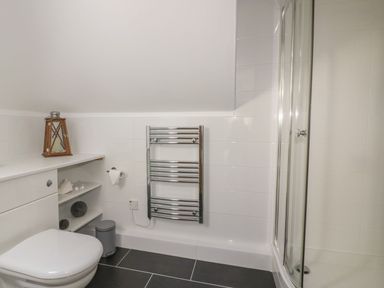 A bathroom with a toilet a glass shower door a towel radiator and shelves with decorative items at Atlantic View in Holywell Bay
