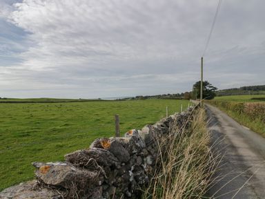 A narrow country road beside a stone wall and green fields at Edgemere Cottage in Cartmel