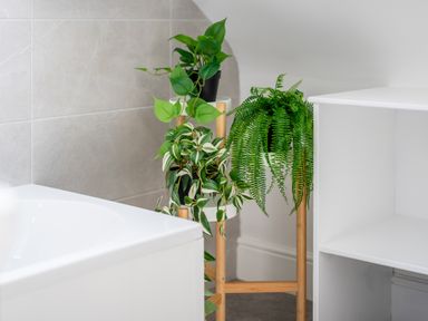 A corner of a bathroom with a white bathtub three potted plants on a wooden plant stand and a white shelf at Hoheck in Abersoch