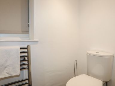 A bathroom with a white toilet and a heated towel rack with a white towel at Monarfon in Criccieth