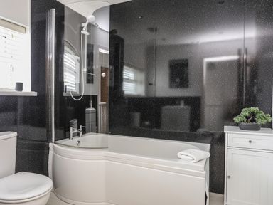 A bathroom with a toilet a bathtub with shower and a cabinet with a small plant at Monarfon in Criccieth