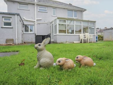 Three decorative rabbit statues on the grass in the backyard of a house with white walls and multiple windows at Monarfon in Criccieth