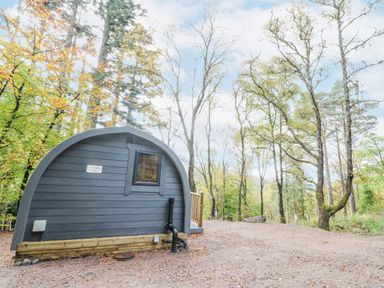 A curved cabin exterior near trees in a forested area at Elleric Pods - The Last Resort Fasnacloich near Appin