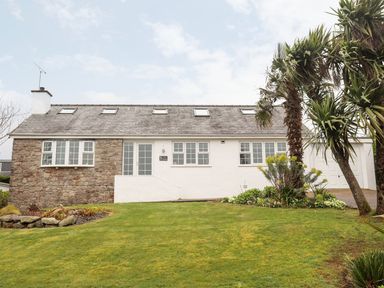 A house with stone and white walls with multiple windows and a front garden and palm trees at The Palms in Abersoch