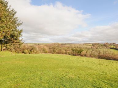 A grassy field with trees and bushes under a partly cloudy sky at The Dairy Barn in Camelford