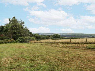 A garden with grass and trees at Aunty Junes Cottage Okehampton