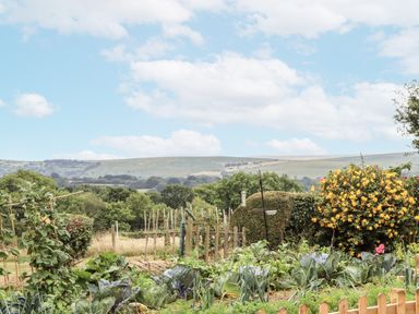 A vegetable garden with cabbages and a flowering bush at Aunty Junes Cottage Okehampton