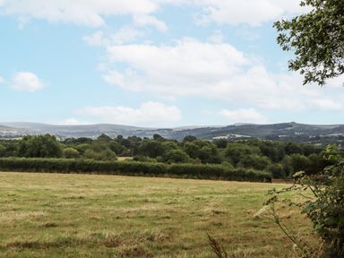 A field with trees and hills in the background at Aunty Junes Cottage Okehampton