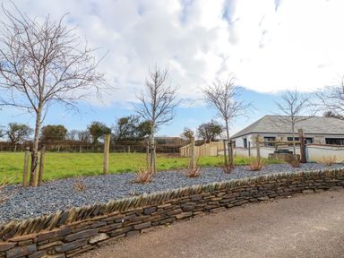 A garden area with young trees and plants on gravel behind a stone wall and a house in the background at Little Hillside in Redruth