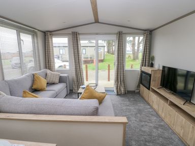 A living room with two gray sofas cushions a wooden coffee table a wooden TV unit with a TV and an electric fireplace and windows with checked curtains at Caldey Retreat Hasguard Cross near Broad Haven