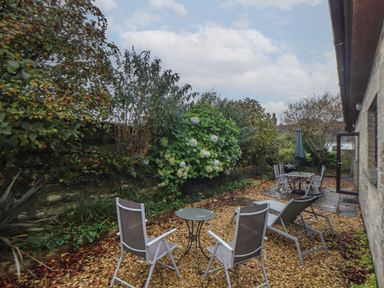 An outdoor patio area with garden chairs and tables surrounded by plants and shrubs at Owl Cottage in Ashen Cross Pelynt