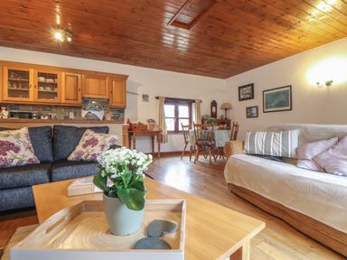 A living room with two sofas a wooden coffee table with a plant a dining table with chairs and a kitchen area at Court Cottage in Ashen Cross Pelynt