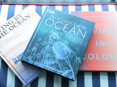 Three books about the ocean and colour on a blue and white striped surface at Mavericks Wave in St Agnes