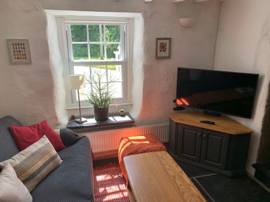 A living room with a sofa cushions ottoman coffee table TV and plants on the window sill at Kernyk in Carn Brea near Pool