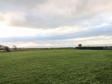 A grassy field with a bench and hedge under a cloudy sky at Wood Cottage in Solva