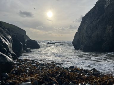 A rocky shoreline with seaweed and waves between cliffs at Wood Cottage in Solva
