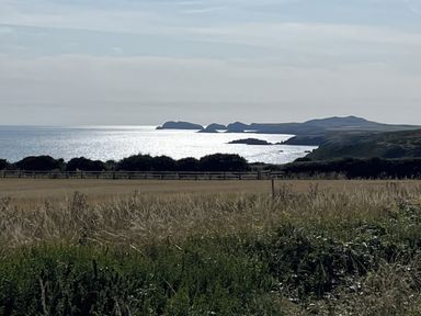 A coastal landscape with grassy fields and shrubs overlooking the sea and distant islands at Wood Cottage in Solva