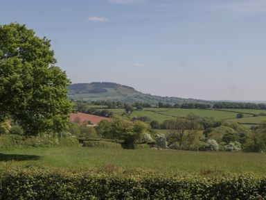 Property photo 40 of 72