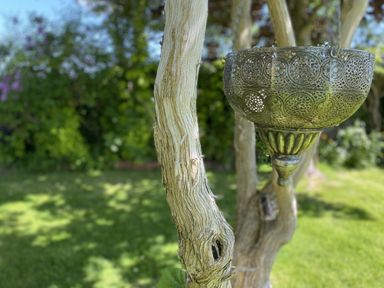 A tree with a decorative bowl in a garden at Cefn Campstone in Llanvihangel Crucorney near Abergavenny
